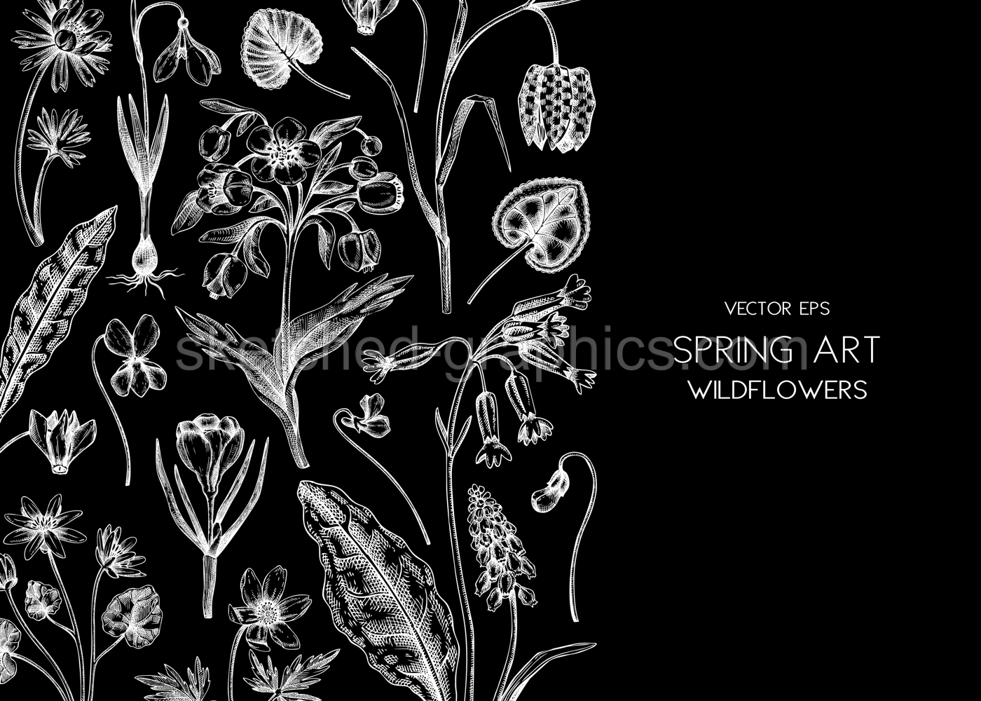 Spring background. Wildflowers hand drawn vector illustrations. Floral design in sketched style. Delicate contoured blooming flowers and leaves border. Vintage minimalist flower sketches Illustration